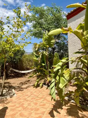 Jardín al aire libre en Real Fundición de Alcora