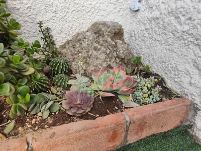 Jardín al aire libre en ENDAGORA