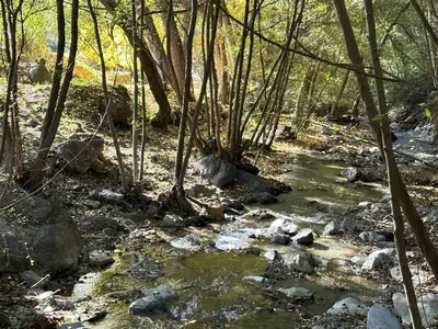 Paisaje cerca de este apartamento