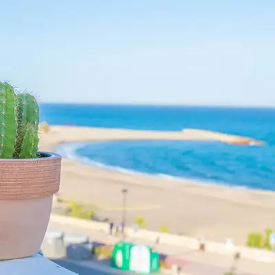 La Esperanza Beach- Zona Pubs y Restaurantes