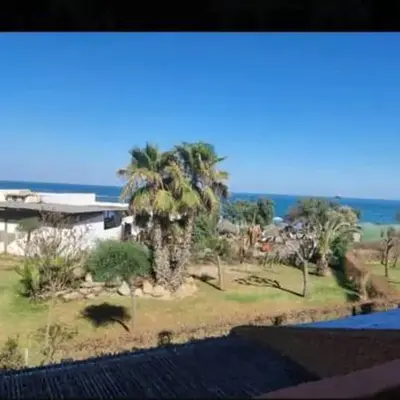 Estudio Naturista