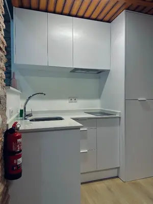 Una cocina o zona de cocina en Apartamentos Arraez