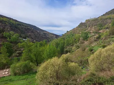 Paisaje cerca de este apartamento