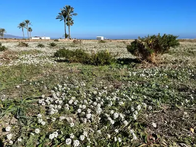 Paisaje cerca de este apartamento