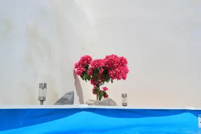 Piscina en o cerca de Rambla Retreats Apartment Naranja in a beautiful location with pool & hot tub