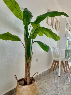 Plano de Apartamento Las Olas