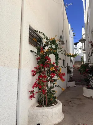 Edificio en el que se encuentra el apartamento