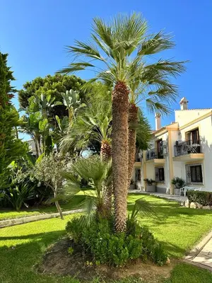 Jardín al aire libre en Casa de Carolina Vera Costa-bajo