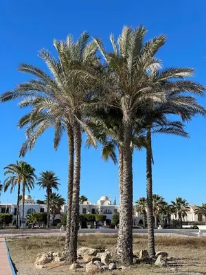 Paisaje cerca de este apartamento