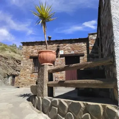 Encina de Lorenzo 1