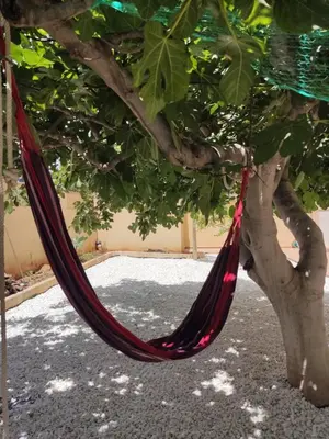 Jardín al aire libre en Casa La Higuera