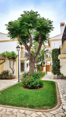Jardín al aire libre en Apartamento Sol y Mar