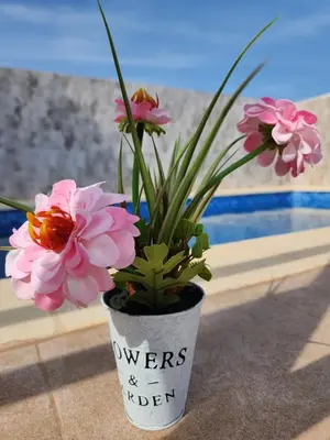 Plano de Ático precioso muy luminoso con piscina privada!