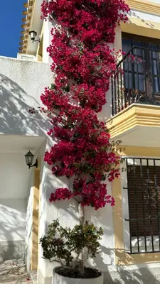 Edificio en el que se encuentra el apartamento