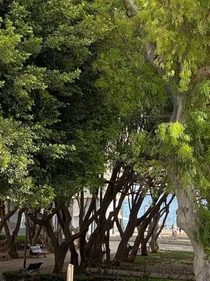 Paisaje cerca de este apartamento