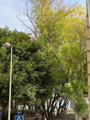 Plano de Apartamento vacacional playa