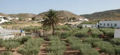 Paisaje cerca de este apartamento