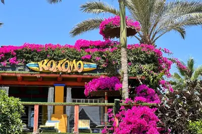 Jardín al aire libre en Kokomo on the beach with heated swimming pool