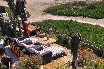 Jardín al aire libre en Kokomo on the beach with heated swimming pool