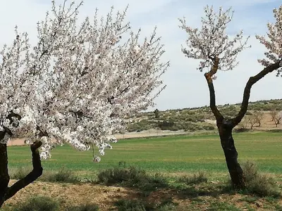 Paisaje cerca de este chalet de montaña