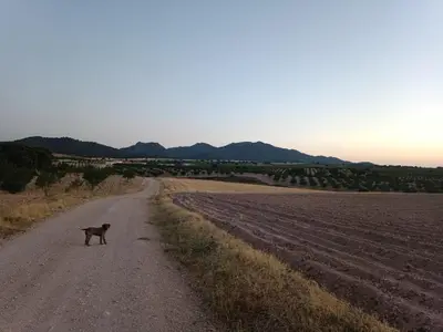 Paisaje cerca de este chalet de montaña