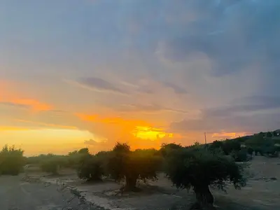 Amanecer o atardecer desde el apartamento o alrededores
