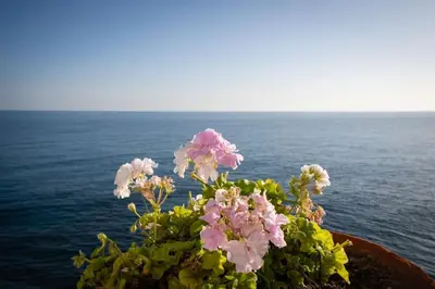 Paisaje cerca de esta casa o chalet