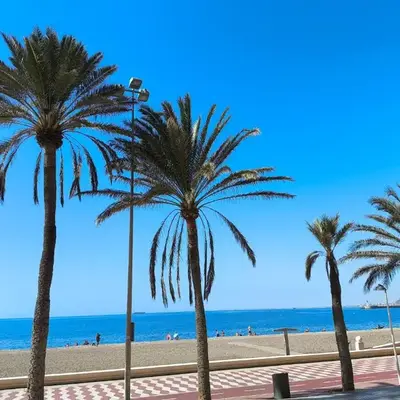 Estudio con terraza junto al mar