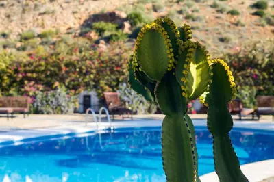 Piscina en o cerca de Bitacora