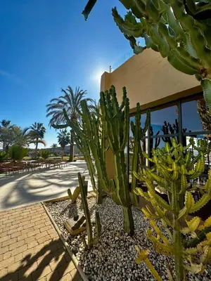 Jardín al aire libre en Valle del Este Golf Resort, Vera, Palmera Golf Duplex with Garden