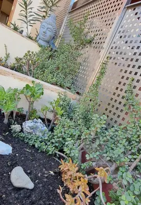 Jardín al aire libre en Villa Bella Vista