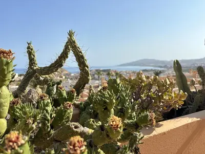 Paisaje cerca de este apartamento