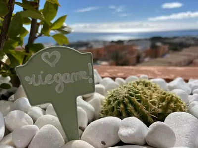 Paisaje cerca de este apartamento