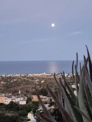 Paisaje cerca de este apartamento