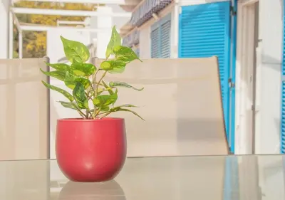 Plano de MojacarProperty Noalejo Beach Apartment
