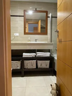 Un baño de Los Cactus de Almerimar