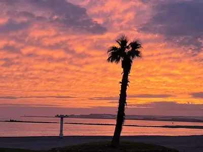 Paisaje cerca de este apartamento
