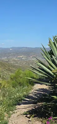 Paisaje cerca de este bed & breakfast