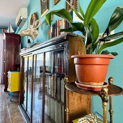 La Nave De Los Locos - Apartment