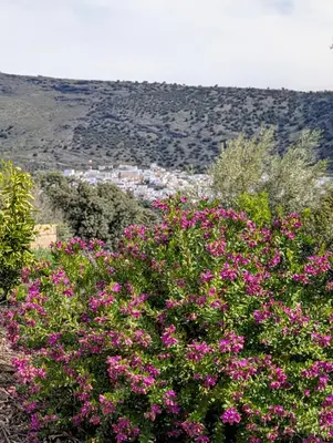 Paisaje cerca de este bed & breakfast