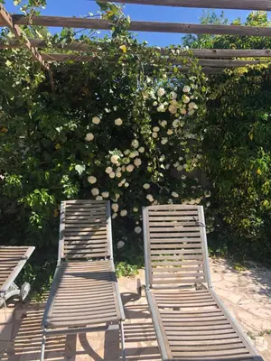 Jardín al aire libre en Molino Felix Alojamiento Rurales