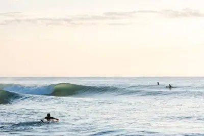 Paisaje cerca de este apartamento