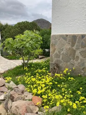 Jardín al aire libre en estudio s