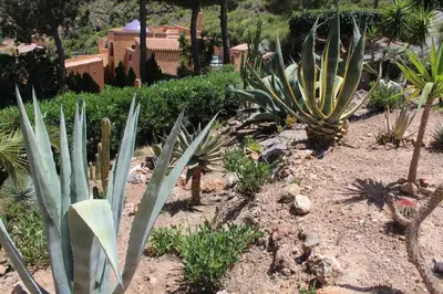 Jardín al aire libre en Casa Pia