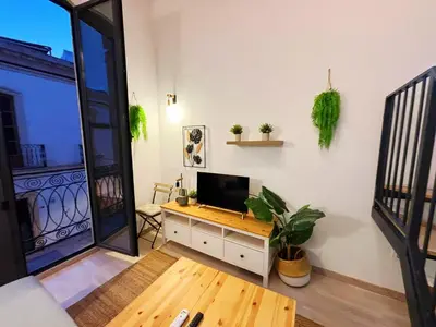 Una televisión o centro de entretenimiento en Apartamentos San Francisco con Terraza privada by Expoholidays