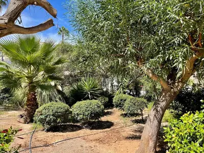 Jardín al aire libre en Golf & Beachside Getaway