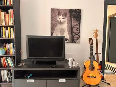 Una televisión o centro de entretenimiento en La Casa del Musico 1