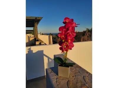 Un balcón o terraza de Cozy Apartment in Vera, Just Steps from the Beach