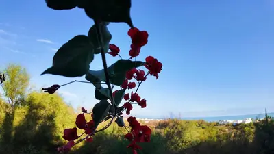 Paisaje cerca de este apartamento