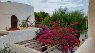 Jardín al aire libre en Cortijo Torreblanca Casa Rural Parque Natural Cabo de Gata